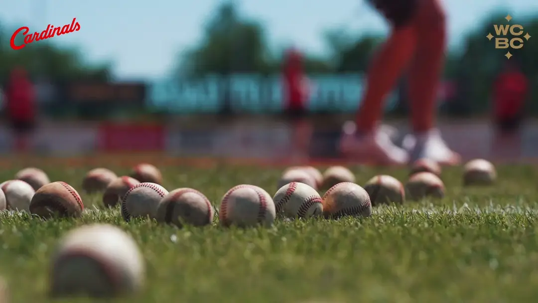 Baseballs scattered across cut outfield grass at a Cardinals home game, a player in red blurred behind them.